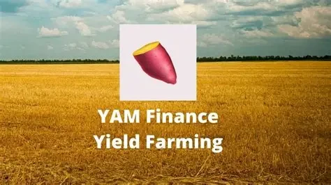 Yam Finance崛起与DeFi生态挑战分析