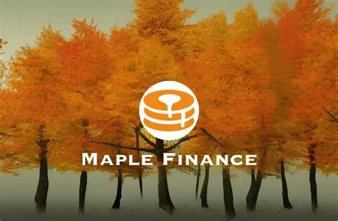 Maple Finance:机构级DeFi借贷协议 Maple Finance:机构级DeFi借贷协议