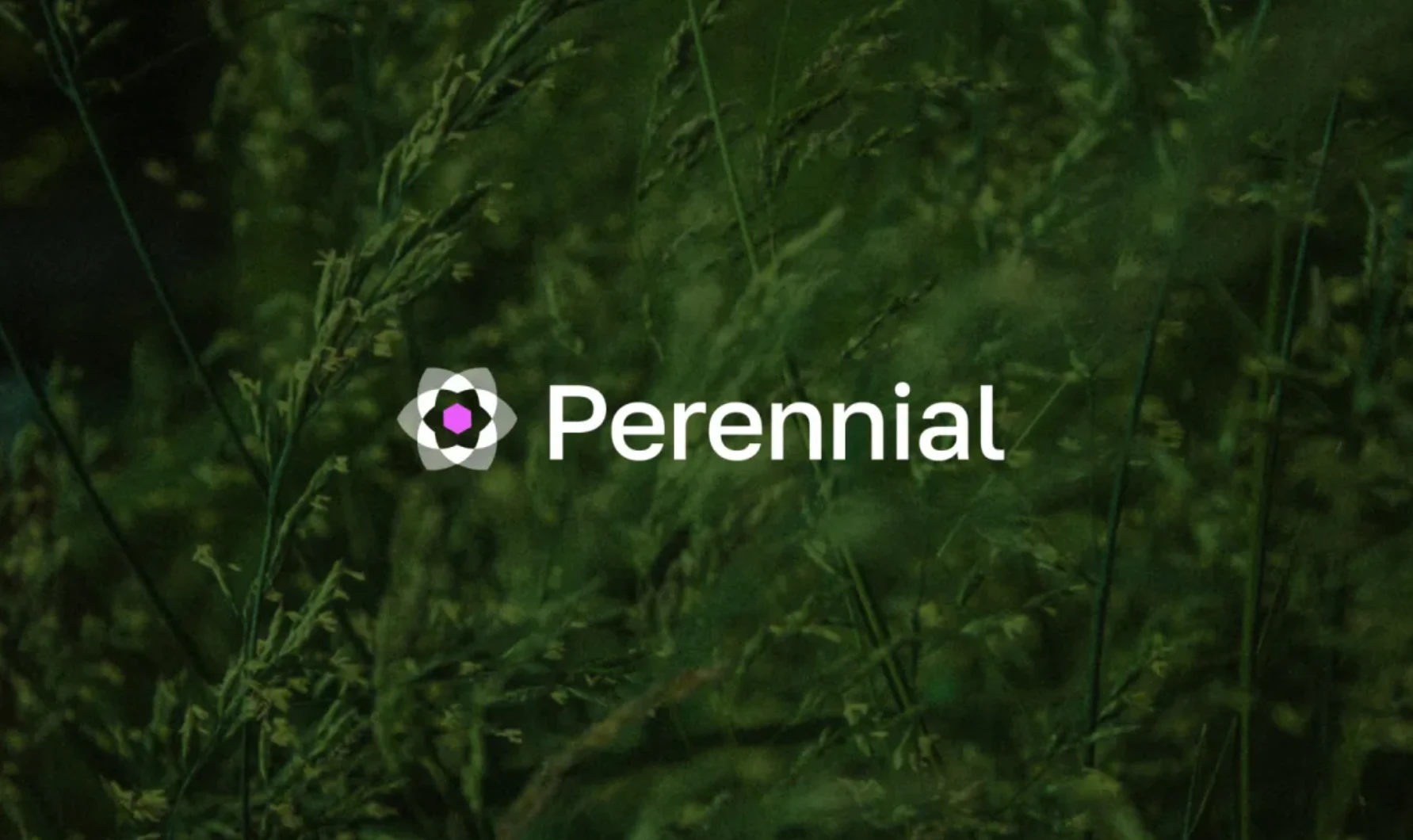 Perennial：去中心化永续合约协议
