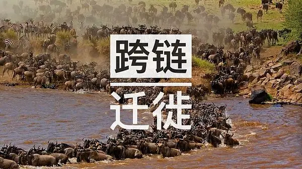 跨链DeFi项目的迁移与创新趋势
