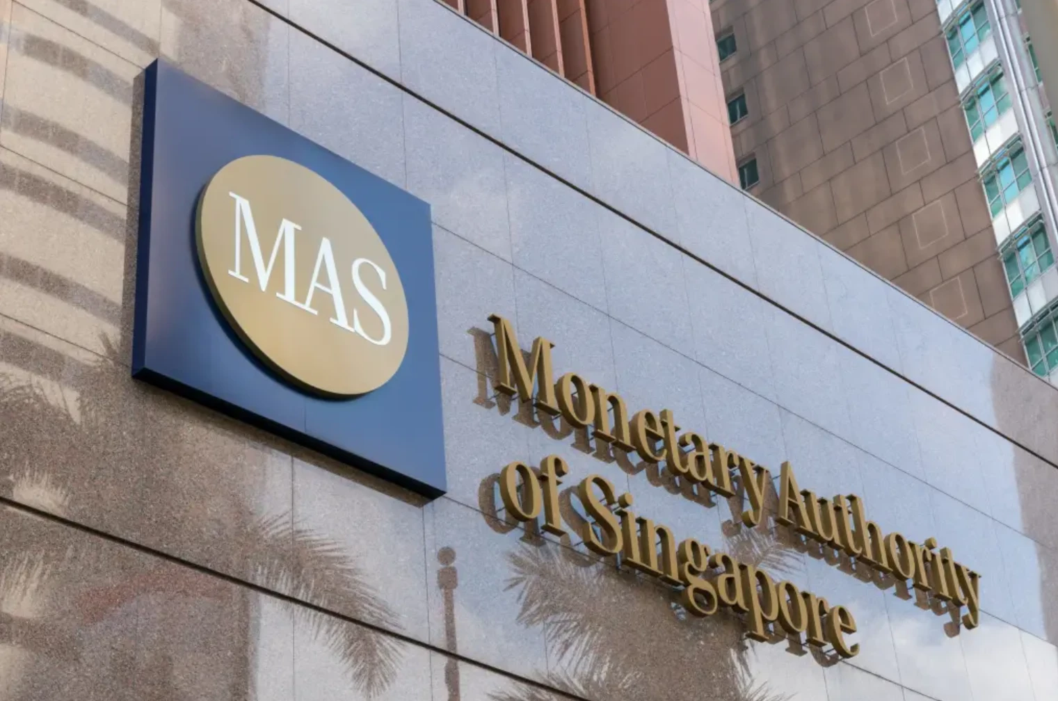 新加坡FSMA框架下DTSP监管要点与合规指南（2025）