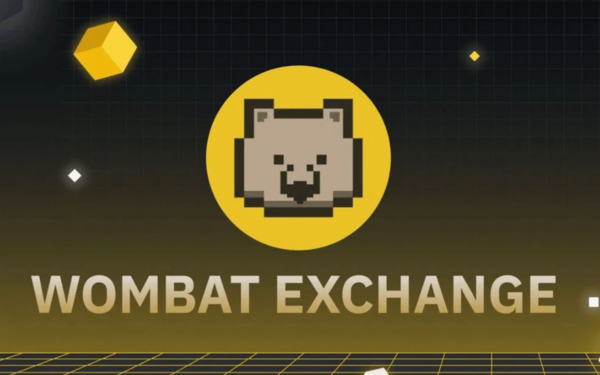 Wombat Exchange：多链稳定币流动性枢纽