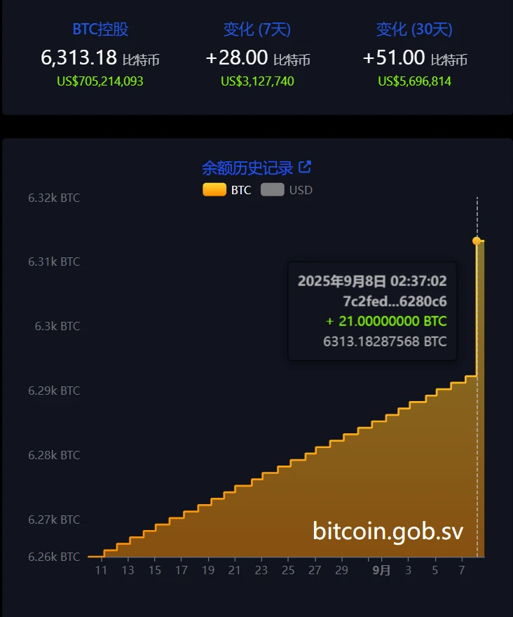 萨尔瓦多比特币持仓增至6,313.18枚 总价值达7.01亿美元