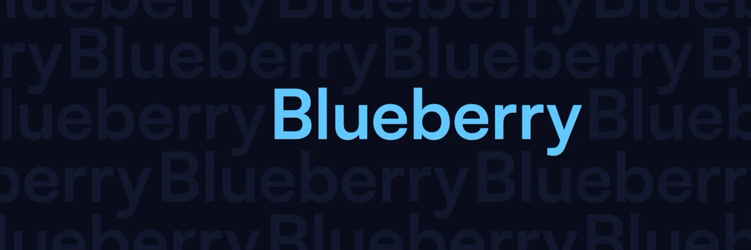 Blueberry Protocol：动态保证金杠杆协议